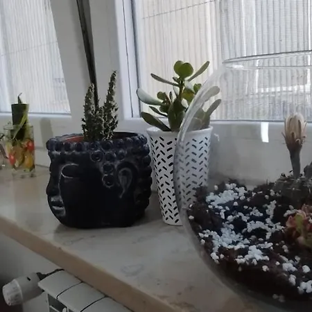 Al Terrazzino Appartement *