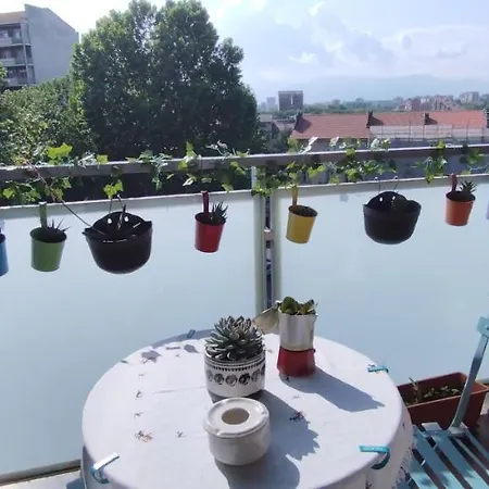 Al Terrazzino Turin