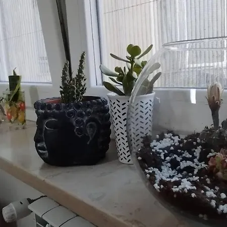 Appartement Al Terrazzino Turin
